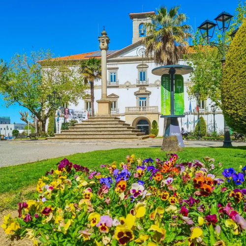 Our Region Of Castelo Branco & Fundão